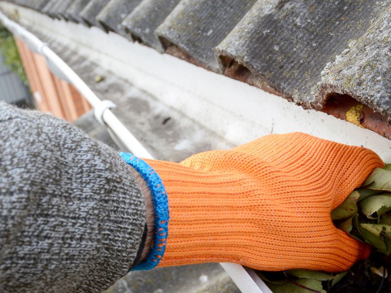 Roofer Cleaning Rain Gutter from Leaves. Roof Gutter Cleaning. House Gutter Cleaning.